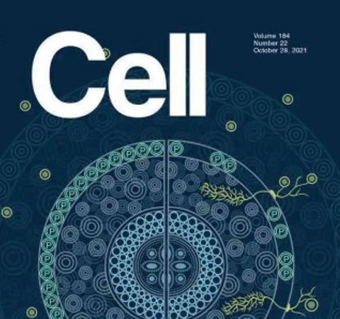 祝賀王二濤老師團(tuán)隊(duì)又一佳作榮登Cell期刊！