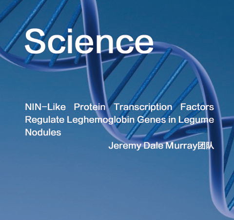 祝賀Jeremy Dale Murray團(tuán)隊(duì)佳作榮登Science期刊！
